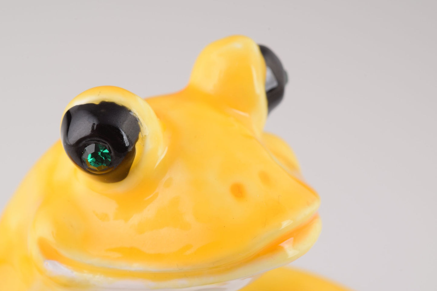 Frog Playing on Keyboards