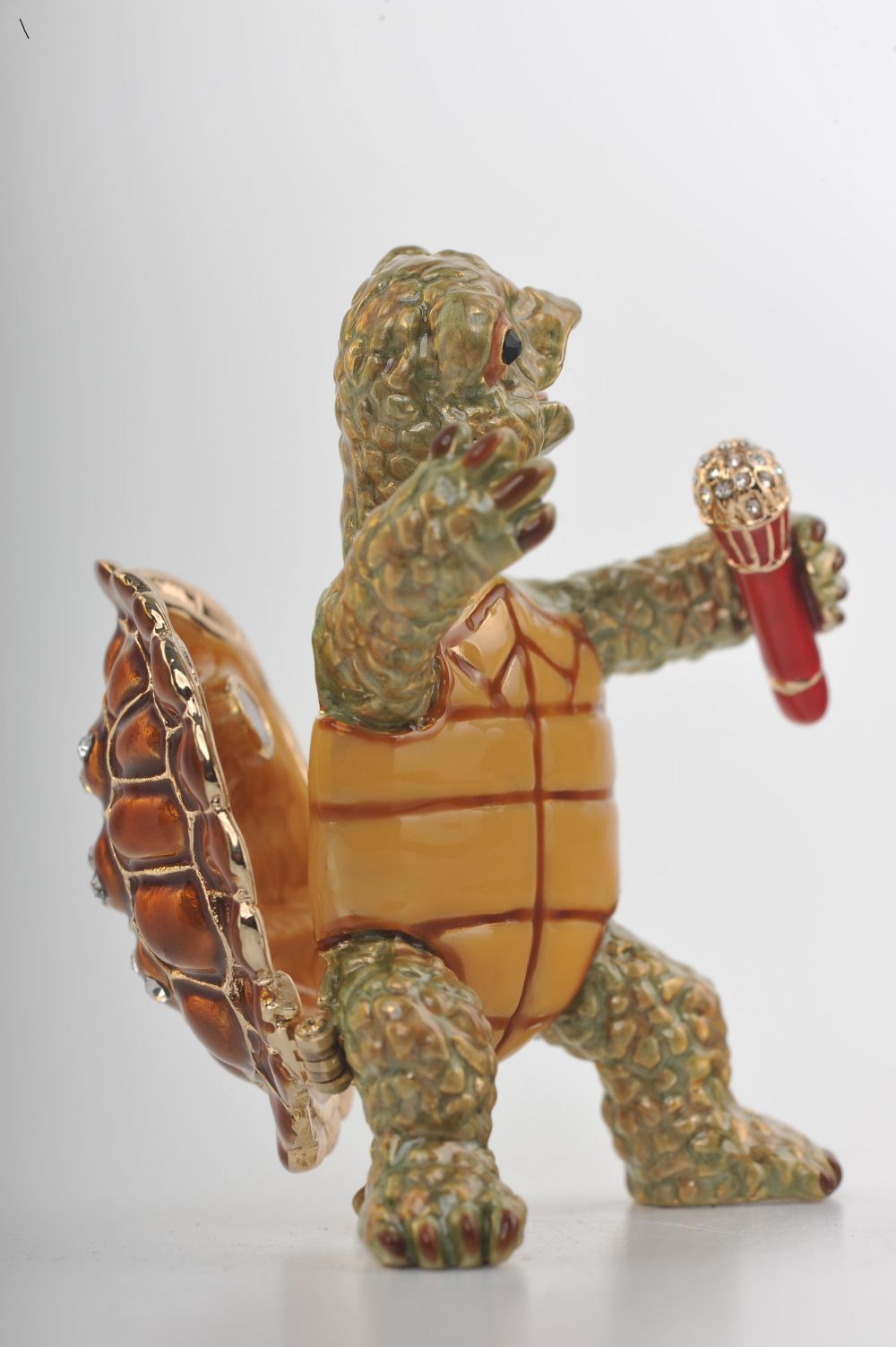 Turtle Singing with a Microphone