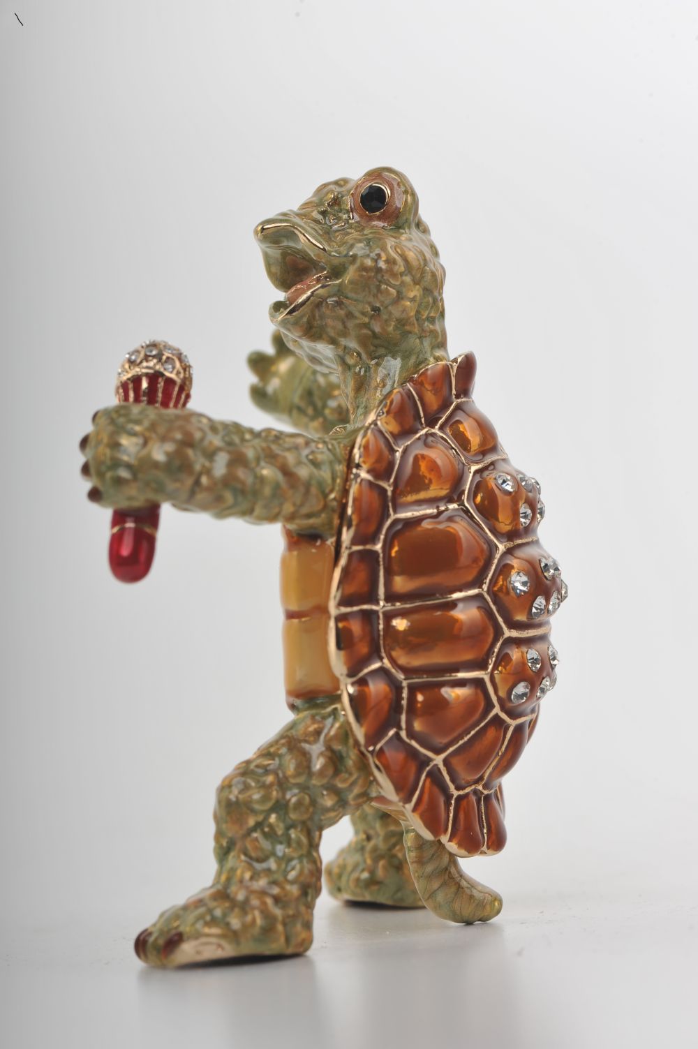 Turtle Singing with a Microphone