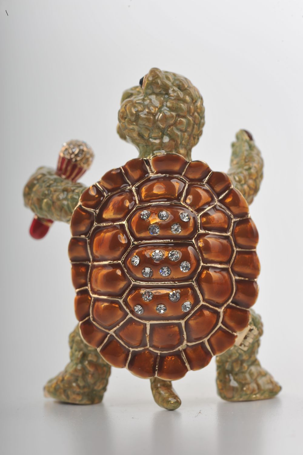 Turtle Singing with a Microphone