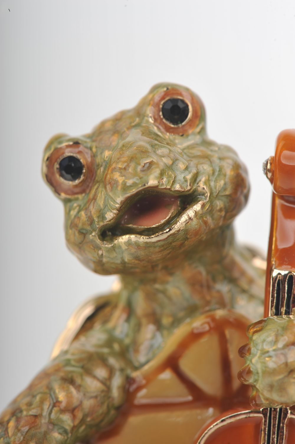 Turtle Playing the Cello