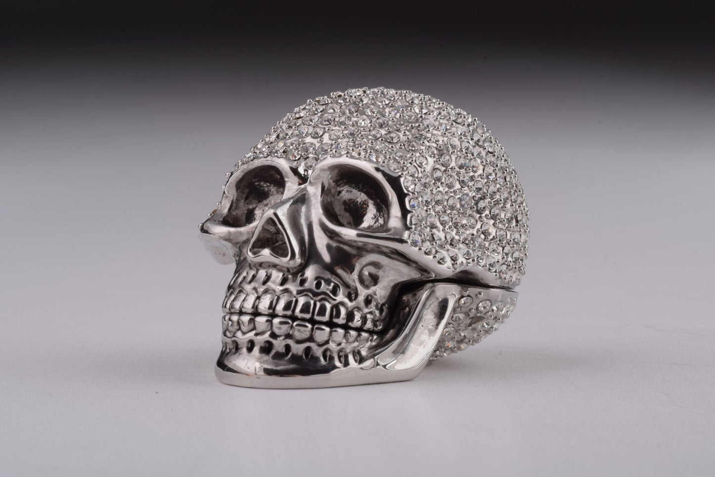 Silver Decorated Skull