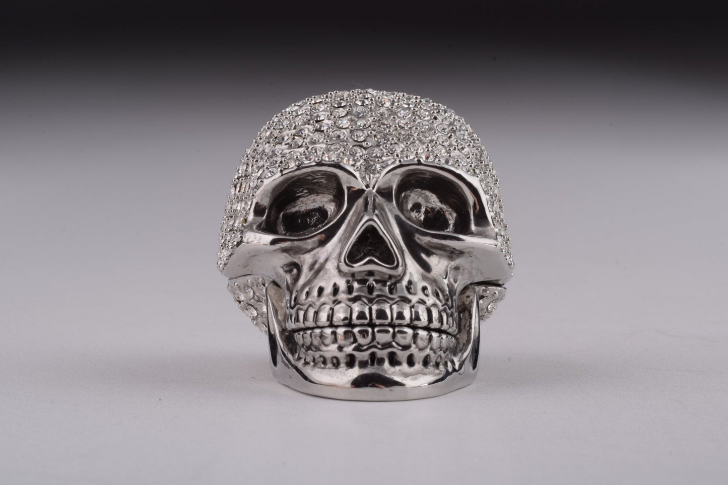 Silver Decorated Skull