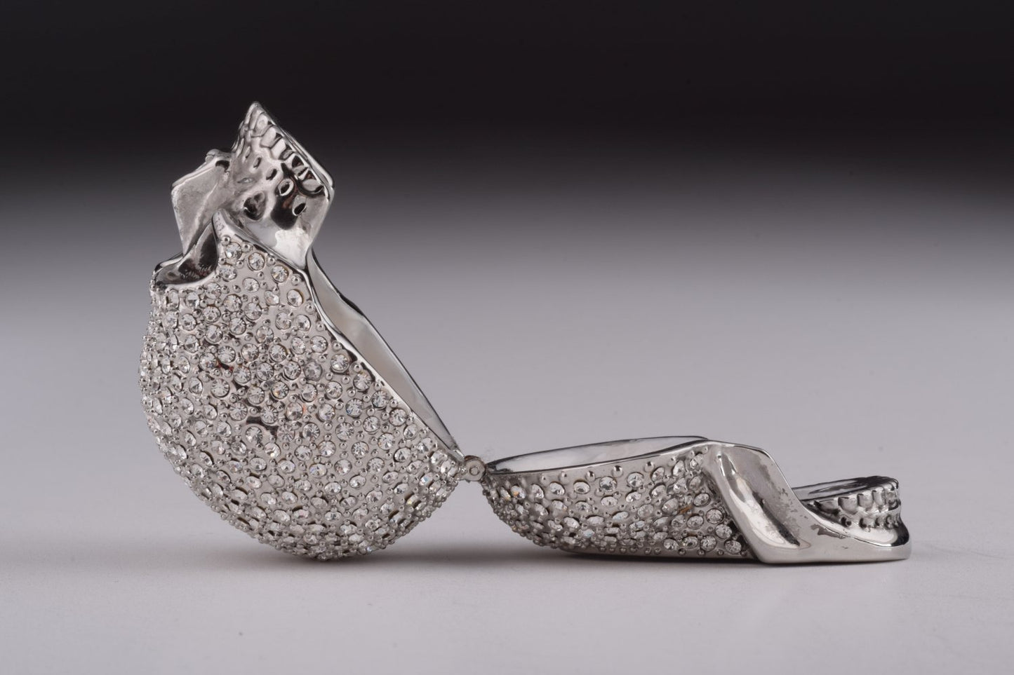 Silver Decorated Skull