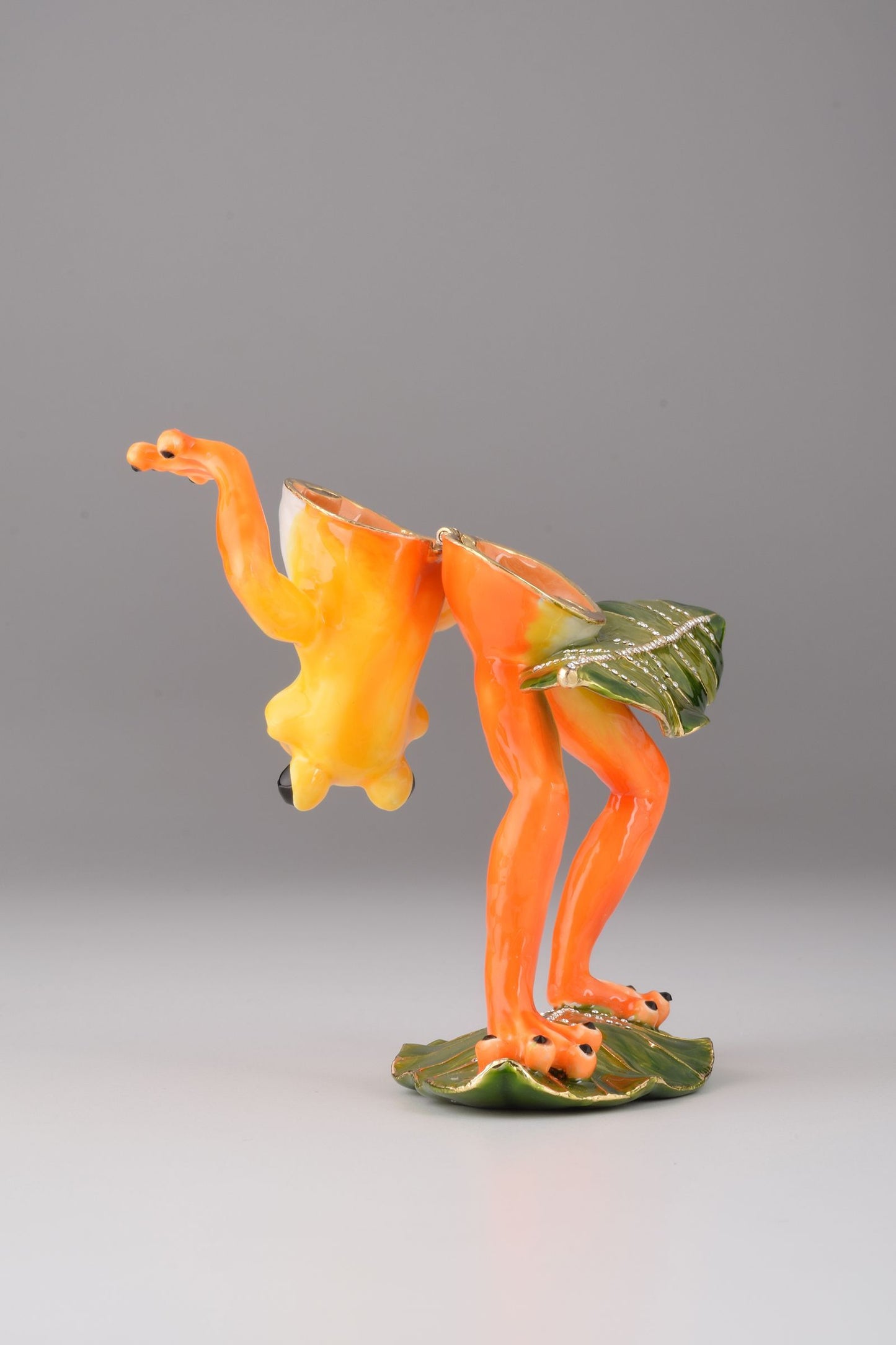 Frog Playing on Keyboards