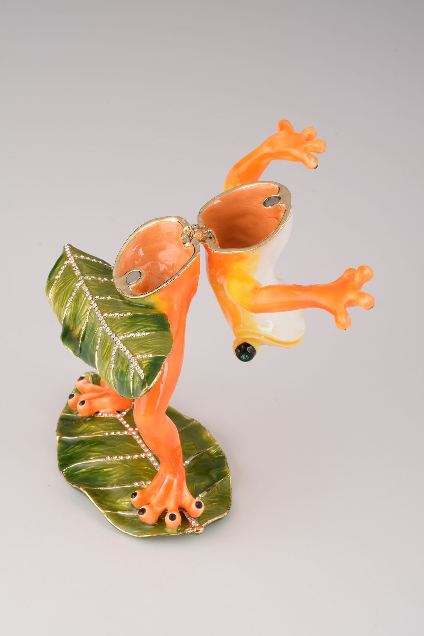 Frog Playing on Keyboards